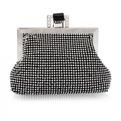 small-evening-bag