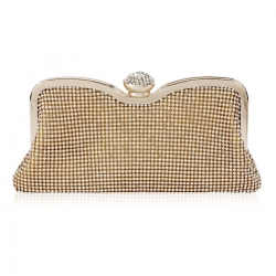 small-evening-bag