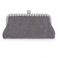 small-evening-bag