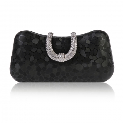 small-evening-bag