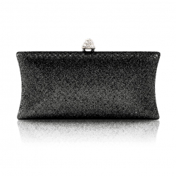 small-evening-bag